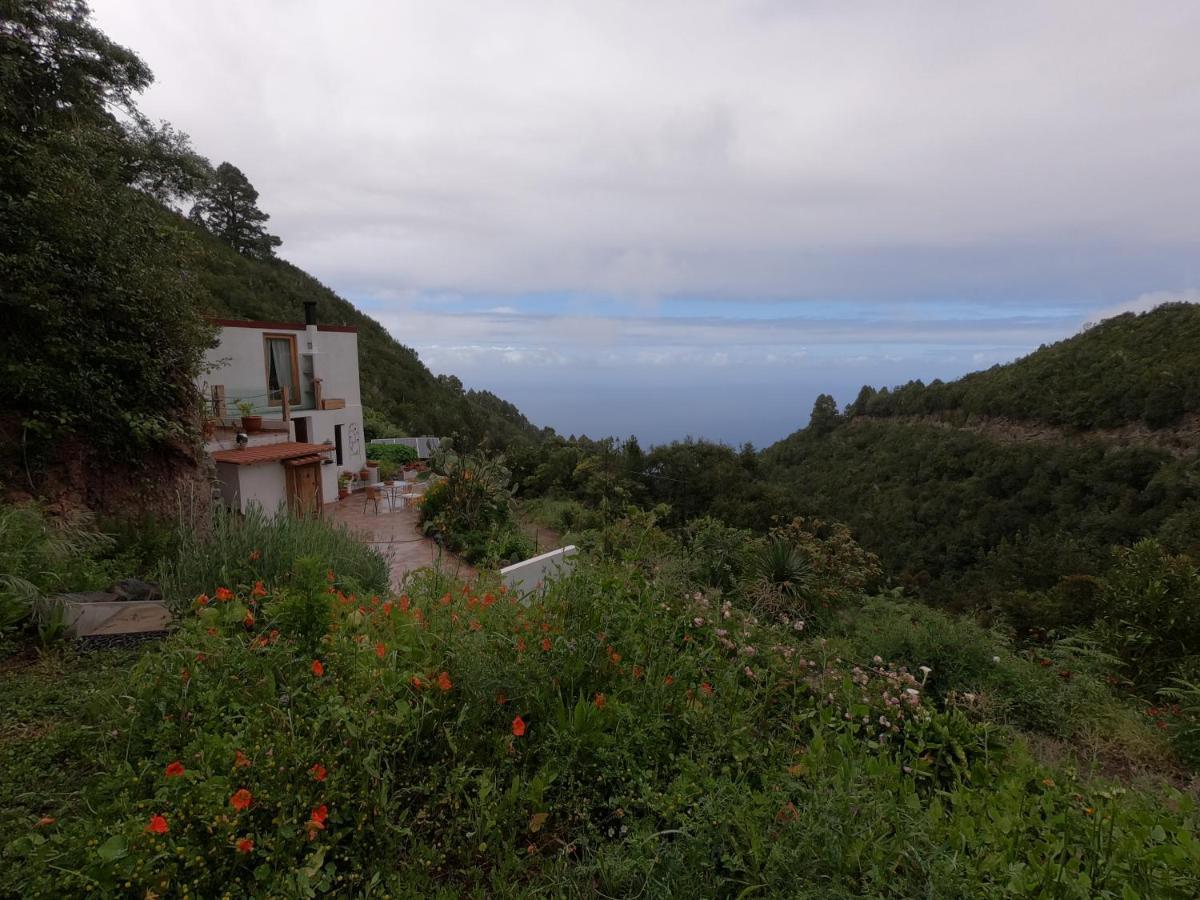 Freedom Villa El Tablado Eksteriør bilde