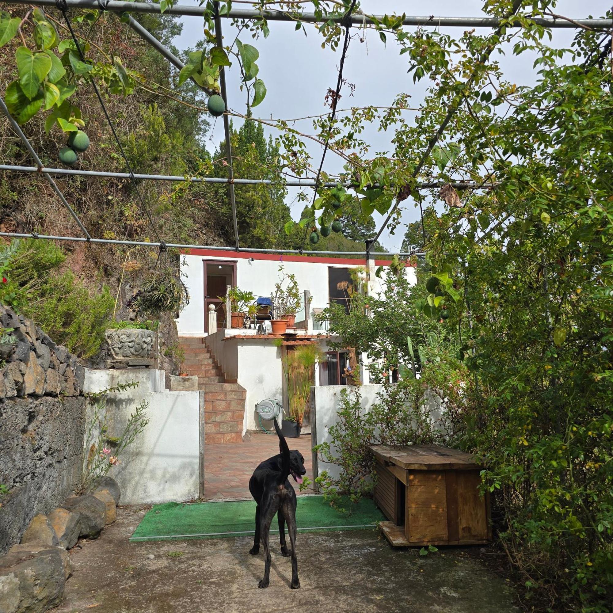 Freedom Villa El Tablado Eksteriør bilde