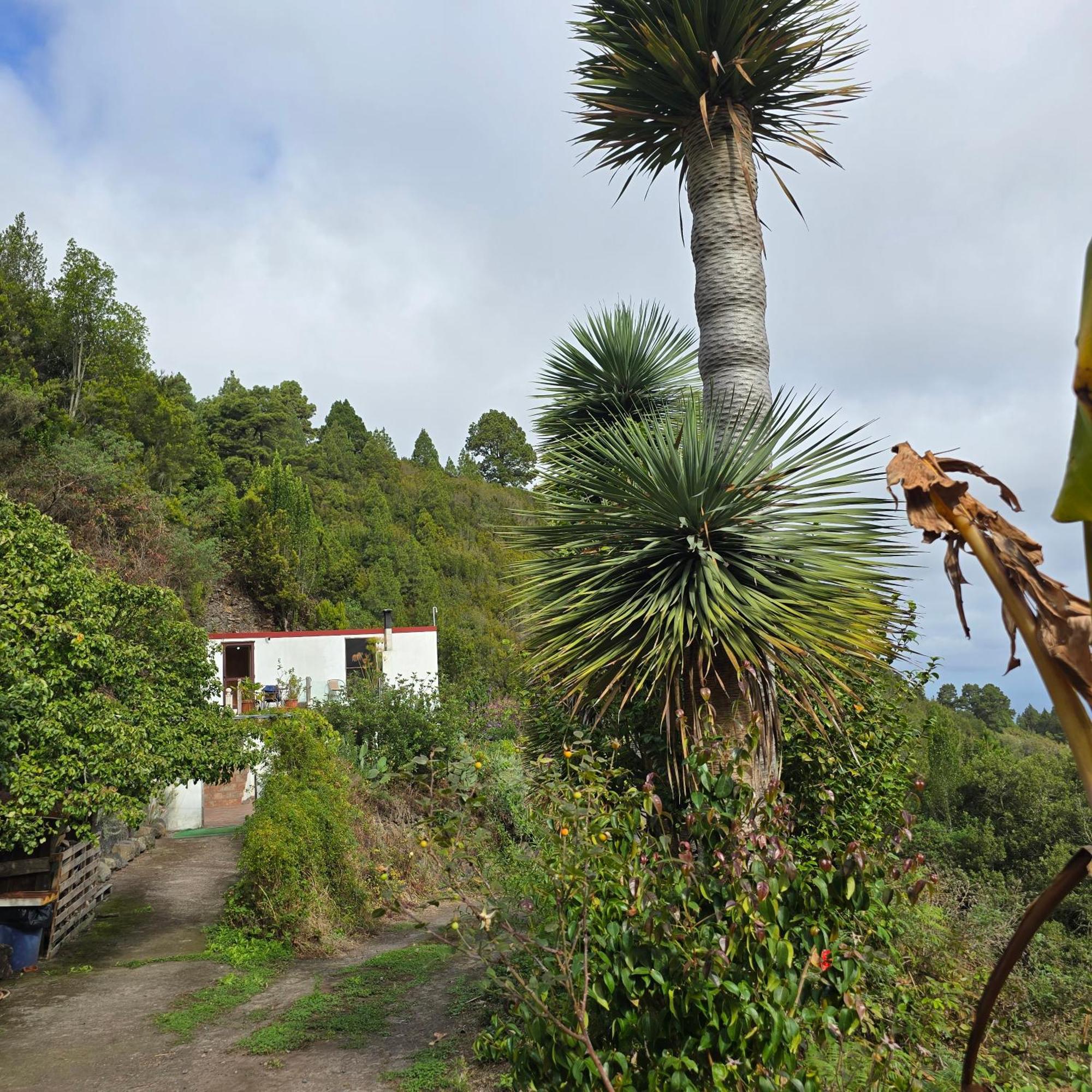 Freedom Villa El Tablado Eksteriør bilde